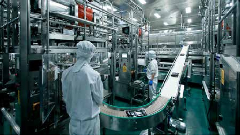 Panda Gold-picutre05.jpg